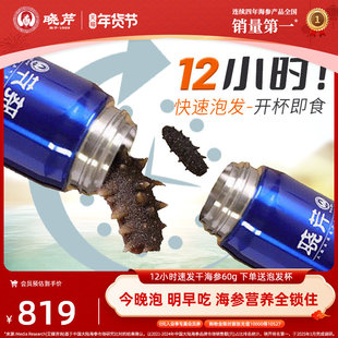 晓芹干海参12小时干海参免煮60克辽刺参大连海参干货无沙嘴