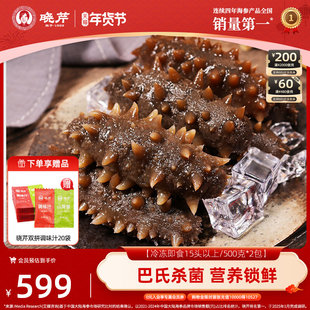 【店长推荐】晓芹大连即食海参1000克30-40头大连辽刺参500克*2袋