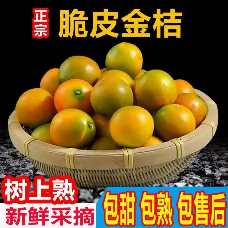 广西融安脆皮小金桔新鲜桔子当季水果蜜金柑桔纯甜孕妇整箱5斤