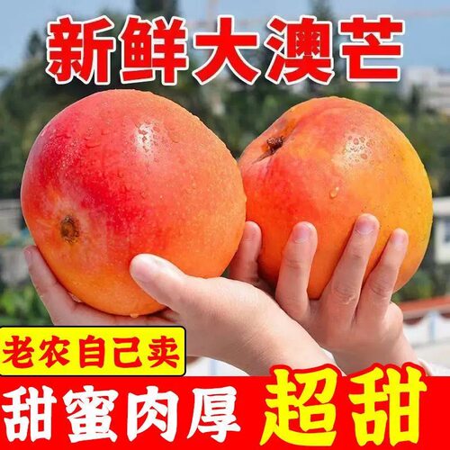 广西西双版纳澳芒芒果新鲜水果大果彩虹芒苹果芒热农芒