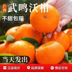 广西武鸣自家沃柑新鲜小甜柑薄皮好吃桔子香甜可口整箱包邮