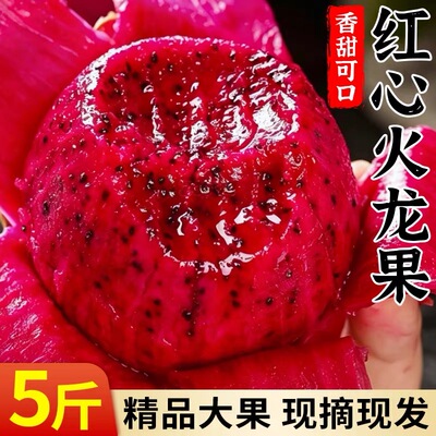 广西红心火龙果新鲜现摘现发红肉水果红心火龙果