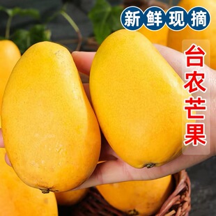 百色大台农芒果新鲜香芒包邮带箱应季时令孕妇水果特大海南台芒