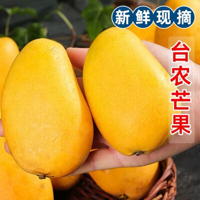 百色晚熟四季大台农芒果新鲜香芒包邮应季时令孕妇非海南小台芒