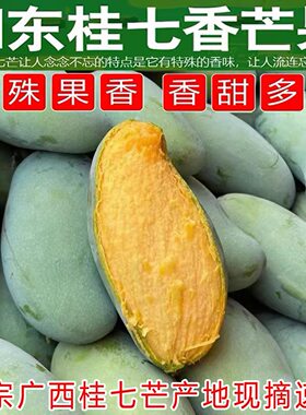广西百色田东桂七芒大果芒果 当季新鲜水果现摘青皮香芒整大芒果