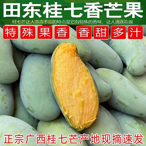 广西百色田东桂七芒大果芒果 当季新鲜水果现摘青皮香芒整大芒果