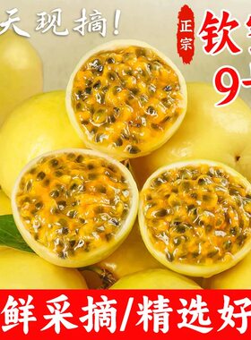 正宗百香果当天现摘新鲜香甜果肉饱满多汁露天种植更健康