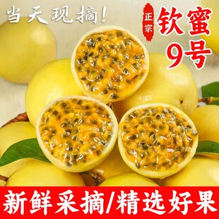 正宗百香果当天现摘新鲜香甜果肉饱满多汁露天种植更健康