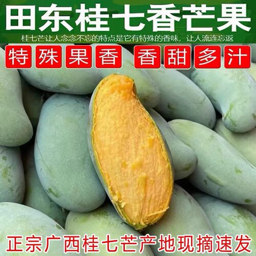 【新鲜现摘]广西田东桂七芒大果当季新鲜现摘广西百色桂七香果
