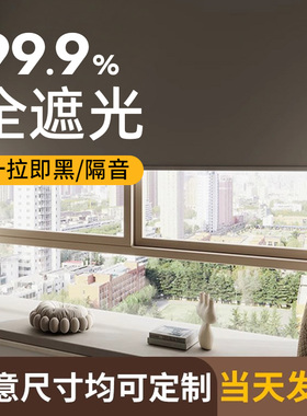 卷帘窗帘免打孔遮光2025新款卫生间厨房办公卧室卷拉式升降遮阳帘