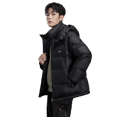 鸭鸭立领连帽休闲短款羽绒服男