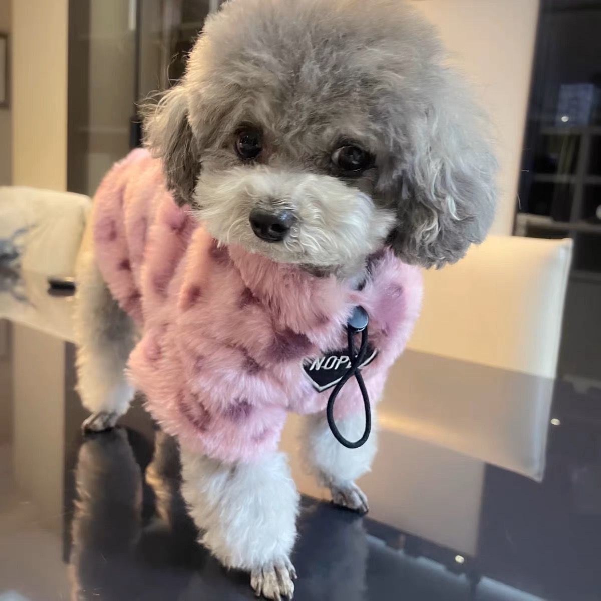 小狗衣服秋冬季保暖加厚宠物比熊博美泰迪约克夏小型犬加绒毛衣潮