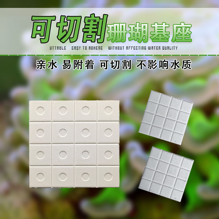 珊瑚基座断枝座纽扣繁殖sps lps掰开陶瓷吸水格子切片基座方形片