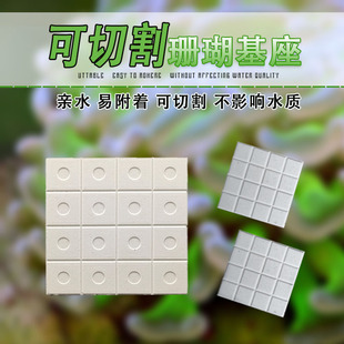 珊瑚基座断枝座纽扣繁殖sps lps掰开陶瓷吸水格子切片基座方形片