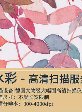 【博物馆级书画高清扫描】水彩画素描真迹无接触数据1比1采集服务