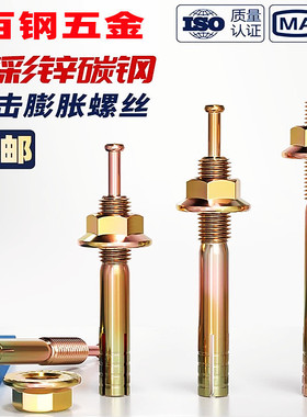 击芯膨胀螺丝一钉得锤击壁虎敲击式膨胀丝M6M8-M30钉式举升机螺栓