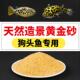 天然黄金沙狗头鱼南美鼠鱼盆栽微景观装 饰底砂造景细河沙水草原生