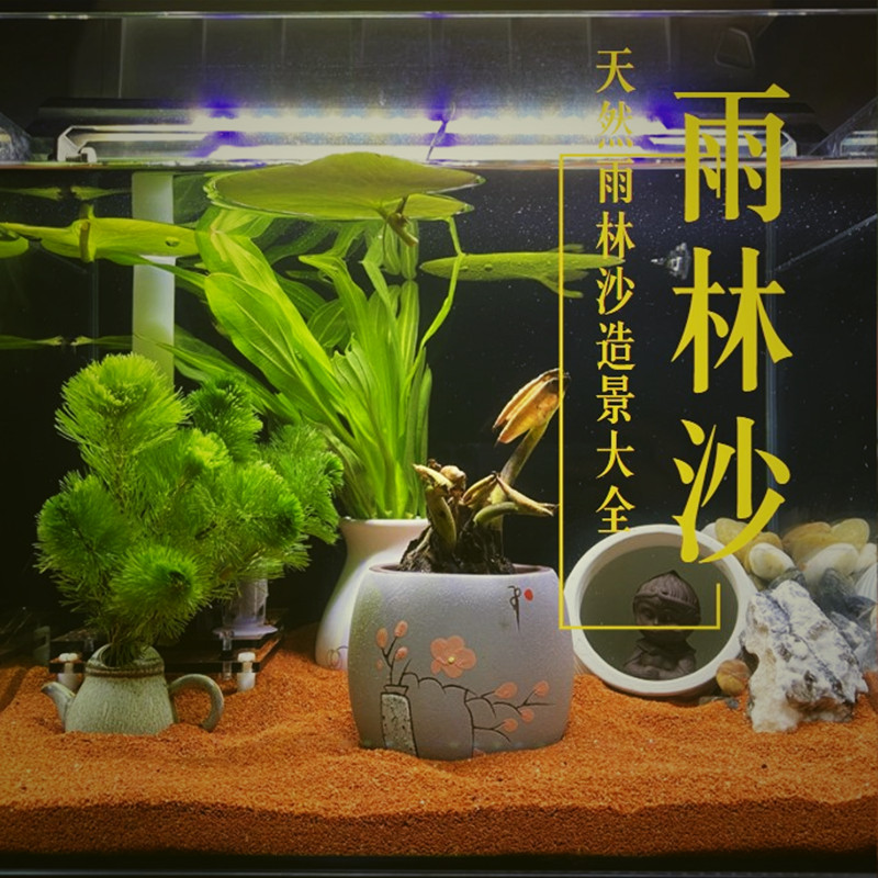 鱼缸底砂雨林沙中国红天然石头鸡血石胭脂石多肉铺面水培鱼缸造景