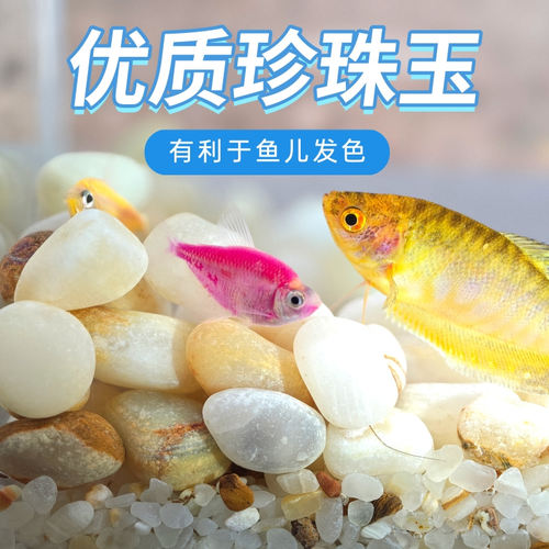 珍珠玉原生鱼缸底沙鱼缸砂沙天然玉石水族箱造景装饰雨花石雨林沙