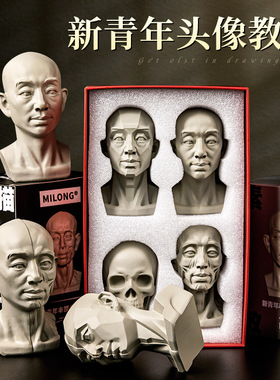 头头是道素描头像教具米隆石膏像美术生初学模型人体头骨艺术摆件