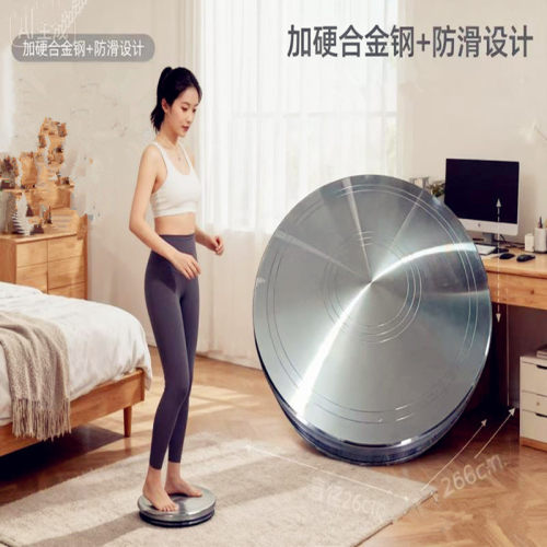 神燕铝合金扭腰盘美背静音
