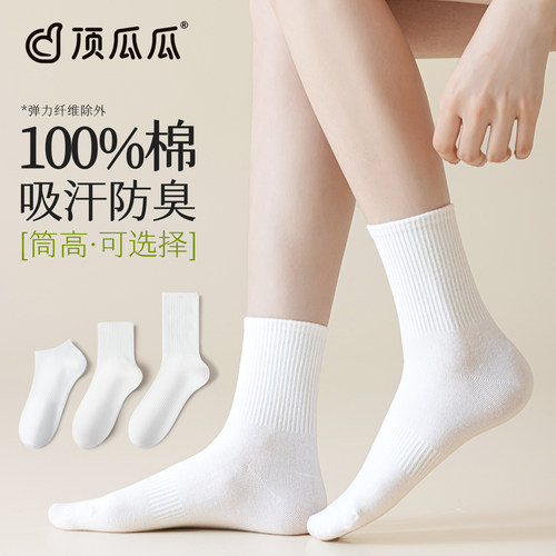 100%棉袜子女白色中筒袜春秋款