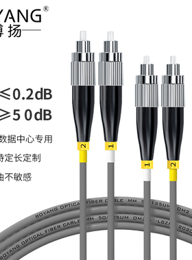 博扬（BOYANG）BY-K40332M 电信级铠装光纤跳线fc-fc 40米多模双