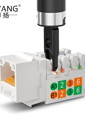 博扬 六类网络模块 工程级打线式信息模块(50μ镀金)BY-RJ45-MK6E