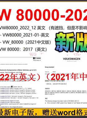 VW 80000-2022英文 公司vw80000-2021英中文 vw80000送word可复制