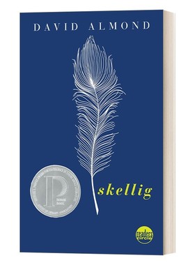 进口原版 英文原版 Skellig 当天使坠落人间 David Almond 普林兹文学奖小说 中小学生课外兴趣阅读 英文版 进口英语原版书籍