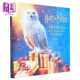 Calendar Hedwig 海德薇立体圣诞倒数日历 英文原版 Pop 哈利波特 哈利波特周边 Potter 进口原版 Edi Harry Insight Advent