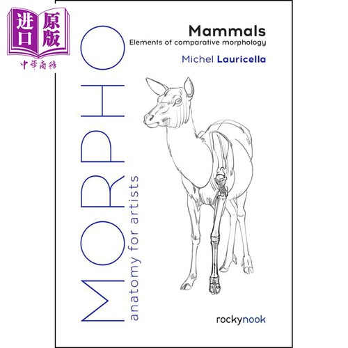进口原版 *Morpho: Mammals 进口艺术 形态：哺乳动物 比较形态学要素 绘画技巧教学   Rocky Nook