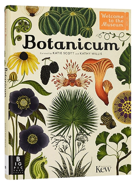 进口原版 欢迎来到博物馆系列 植物博物馆 Botanicum 手绘科普读物 精装大开本 英文原版 英文版   Big Picture Press