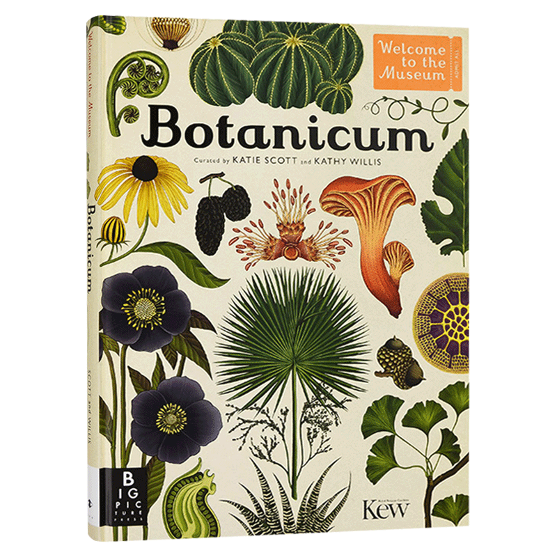 进口原版 欢迎来到博物馆系列 植物博物馆 Botanicum 手绘科普读物 精装大开本 英文原版 英文版   Big Picture Press