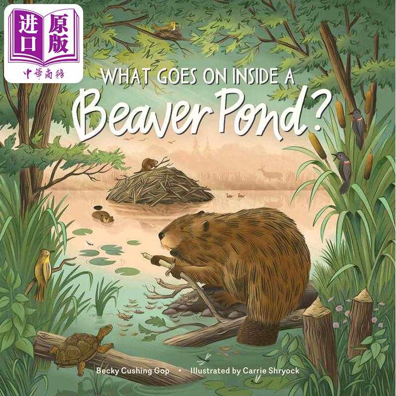 进口原版 *Carrie Shryock What Goes on inside a Beaver Pond 池塘里的海狸 英文原版进口图书 儿童绘本 动物科普   Storey Publ