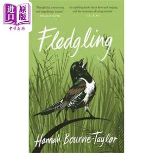 进口原版 *雏鸟 Fledgling 英文原版 Hannah Bourne-Taylor 自然 生物   Aurum Press