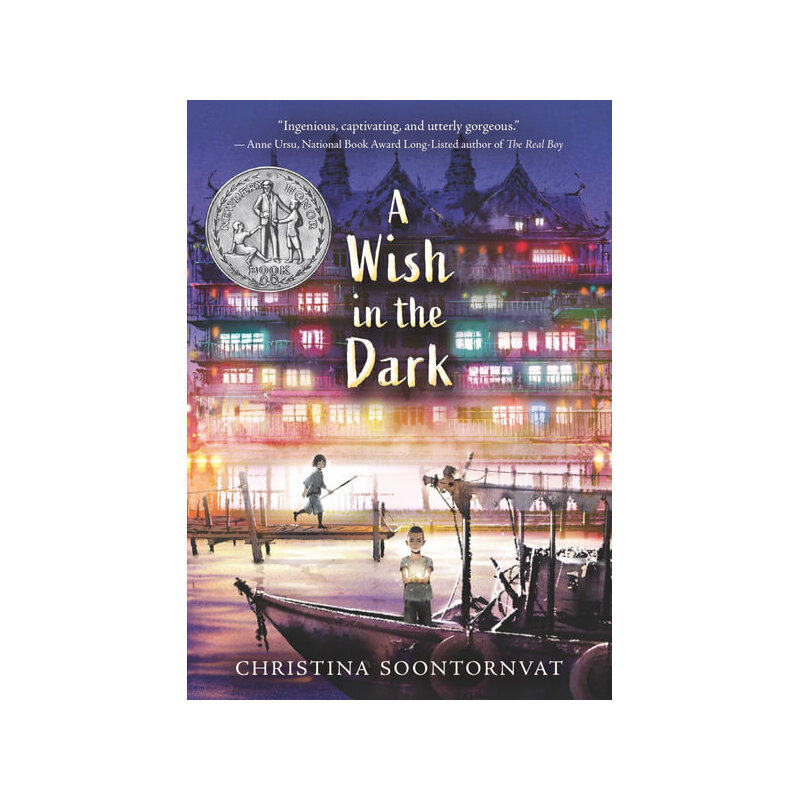 进口原版 *A Wish in the Dark 纽伯瑞 黑暗中的愿望 2021纽伯瑞银奖 儿童获奖故事文学光明与正义 平装 英文原版   Candlewick