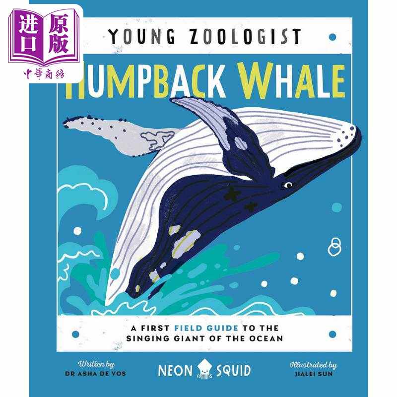 进口原版 *Young Zoologist：Humpback Whale 小动物家：座头鲸 英文原版进口 儿童百科绘本 动物科普知识图书 精装   NEON SQUID
