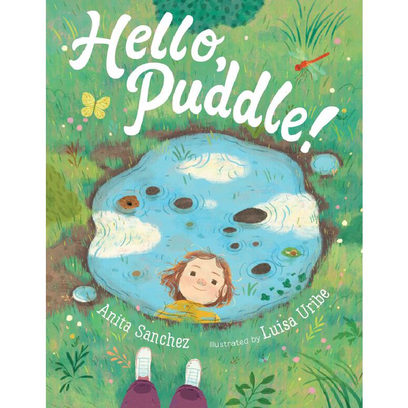 进口原版 *Hello Puddle 你好 小水塘 英文原版 进口原版 4岁到7岁 精装 儿童图画书 Anita Sanchez   Houghton Mifflin Harcourt