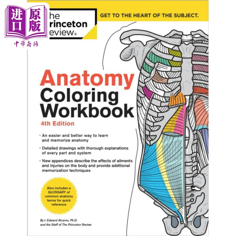 进口原版 *解剖学涂色书练习册 第4版 英文原版 The Princeton Review and Edward AlcamoAnatomy Coloring Workboo   Random Hous