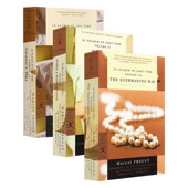 Proust马塞尔普鲁斯特 经典 英文版 Time 进口英语原版 书籍 追忆似水年华 Search 进口原版 3册 Marcel 文学小说 Lost 卷1