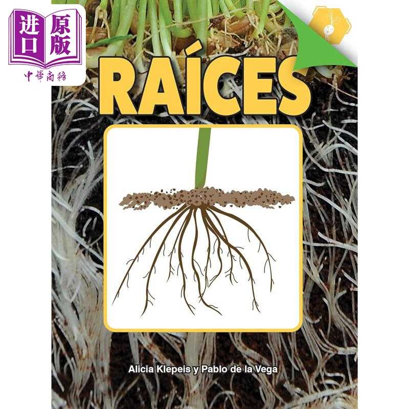 进口原版 *Spanish Science Readers Raíces Grade 2-4 西班牙语原版少儿科普读物 根 Un acercamiento a las plan   Rourke
