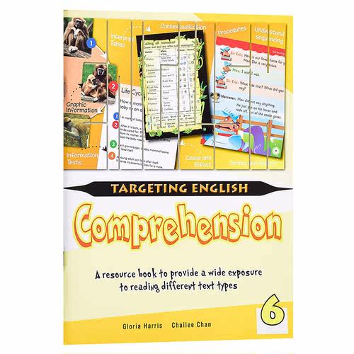 进口原版 *【新加坡英语教材】Targeting English Comprehension Book 6 目标英语阅读理解6   STAR PUBLISHING PTE LTD.