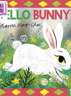 进口原版 *镜面找找书 你好啊小兔兔 Hello Bunny! An Easter search-and-find mirror book 英文原版 亲子纸板书    Two Hoots