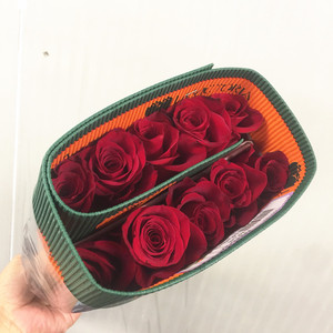 厄瓜多尔家用玫瑰鲜花速递
