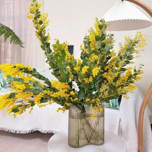 银荆金合欢鲜切圣诞花黄色鲜花速递家用瓶插花艺江浙沪皖两扎包邮