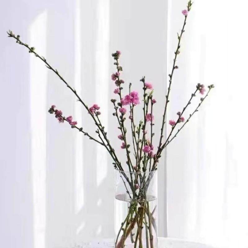 桃花鲜切枝新鲜带花苞上海鲜花速递家用瓶插花艺江浙沪皖两扎包邮