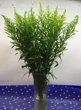 黄英鲜切花上海鲜花同城速递配叶家用瓶插花江浙沪皖两扎包邮