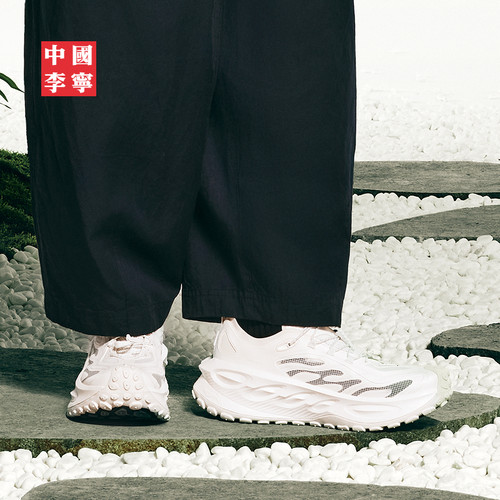中国李宁系列男潮流运动鞋