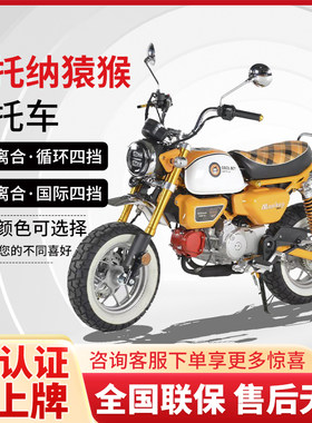 双狮斯托纳猿猴迷你摩托车单缸四冲程150排量迷你小摩托